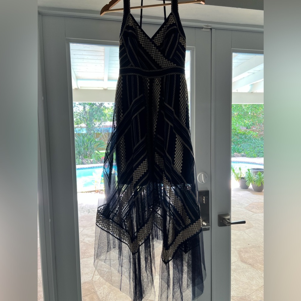 BCBGmaxazria gorgeous dress.